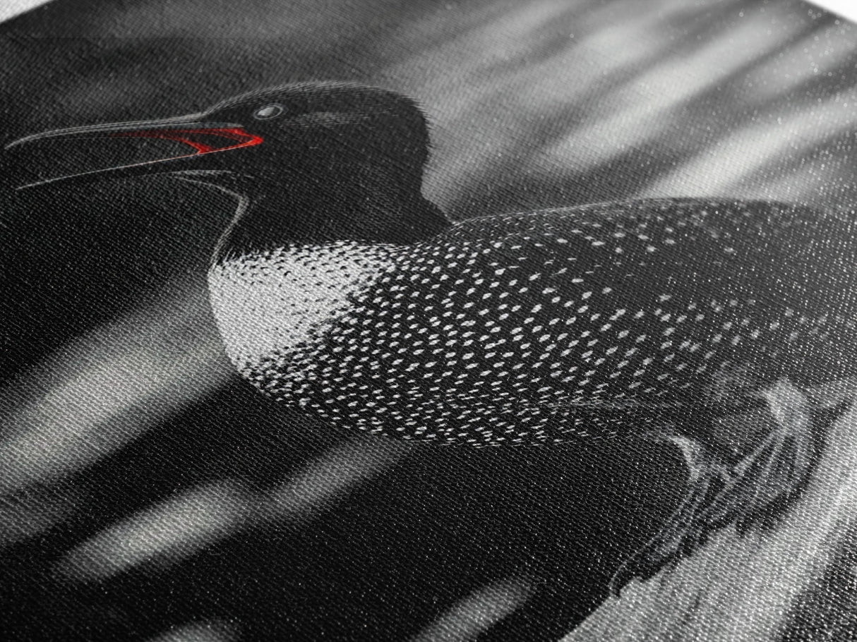 Loon Call, Singing Bird, Red Beak, Monochrome Framed Canvas Print, Wildlife Wall Decor, Bird Lover Wall Art, Rustic Cabin Accent