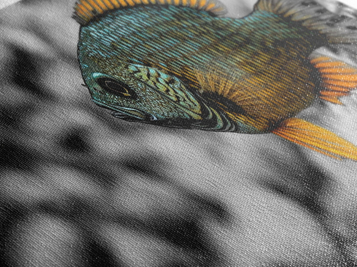 Colorful Fish Closeup, Underwater Art, Nature Photography, Canvas Print, Coastal Bathroom Decor, Vibrant Marine Life Wall Art