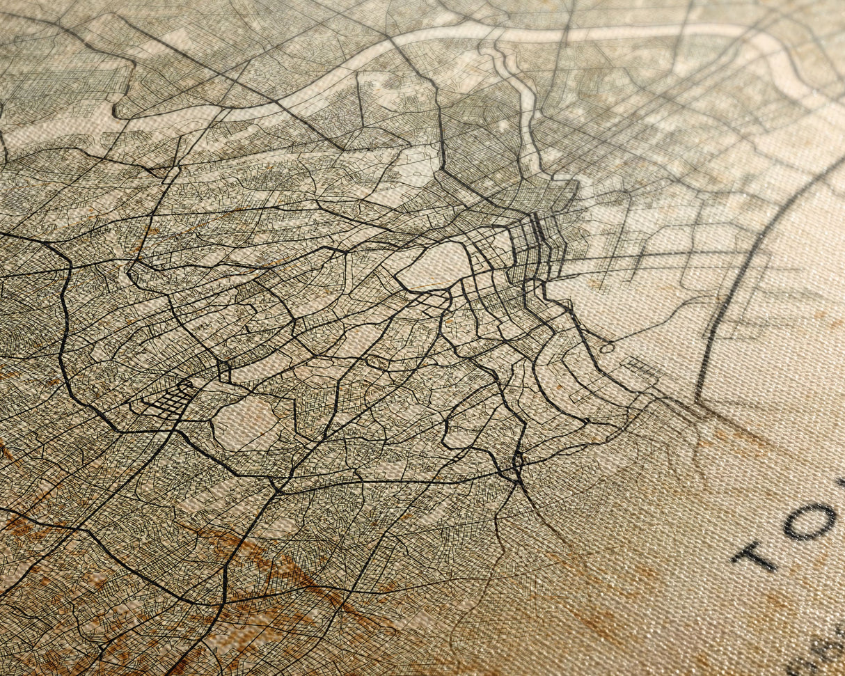 Tokyo Japan map print poster or framed canvas, Tokyo map print poster canvas, Tokyo Japan city map print poster canvas, Vintage Travel Art
