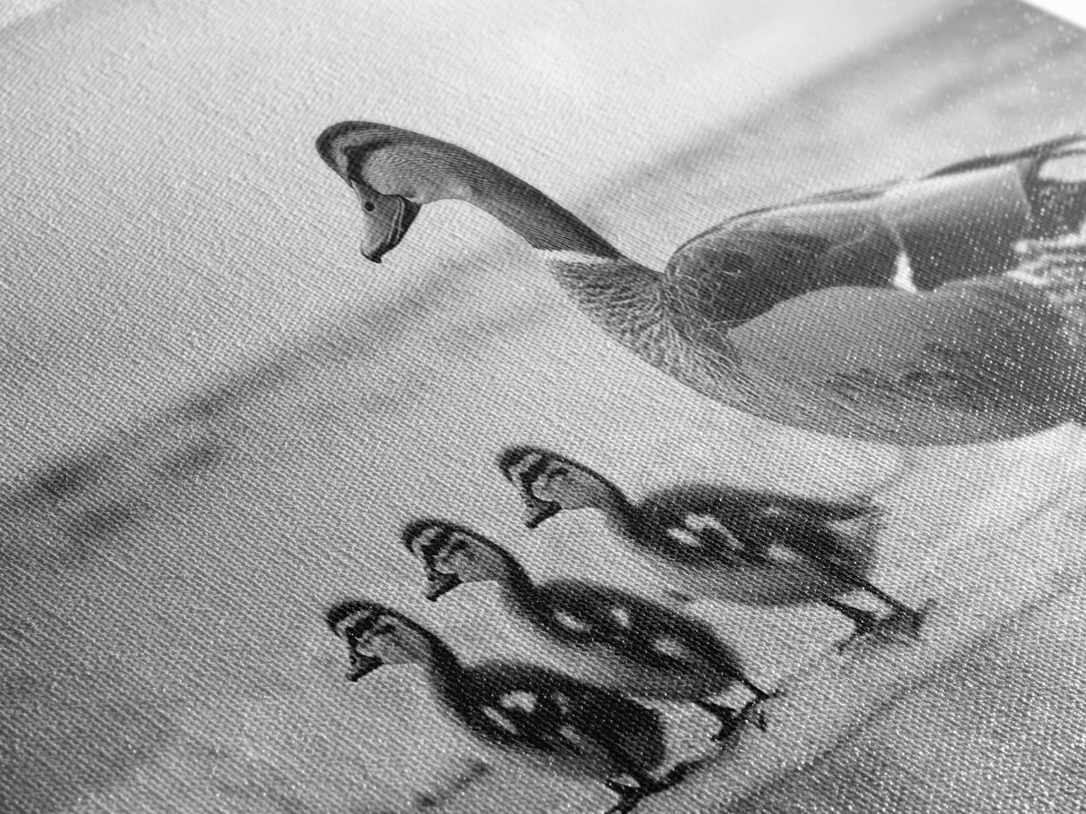 Duck family, bird art, whimsical art, coastal decor, nature painting, extra wide art, panoramic art, above couch art, framed canvas print