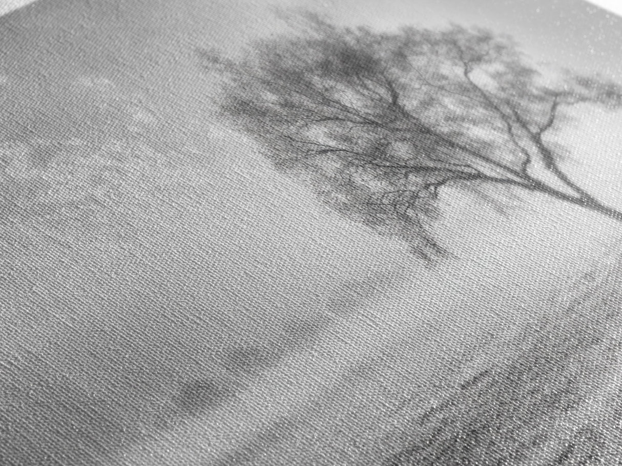 Solitary Tree, Minimalist Art, Landscape Painting, Oak Tree Art, Extra Wide Art, Moody Art, Wabi Sabi Wall Art, Framed Canvas Print