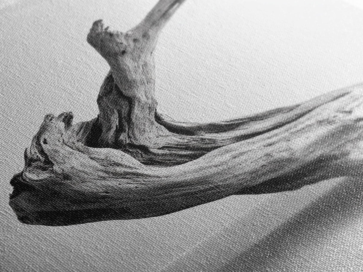 Driftwood Sculpture, wabi sabi art, rustic decor, minimalist art, botanical prints, farmhouse art, framed canvas print, living room art