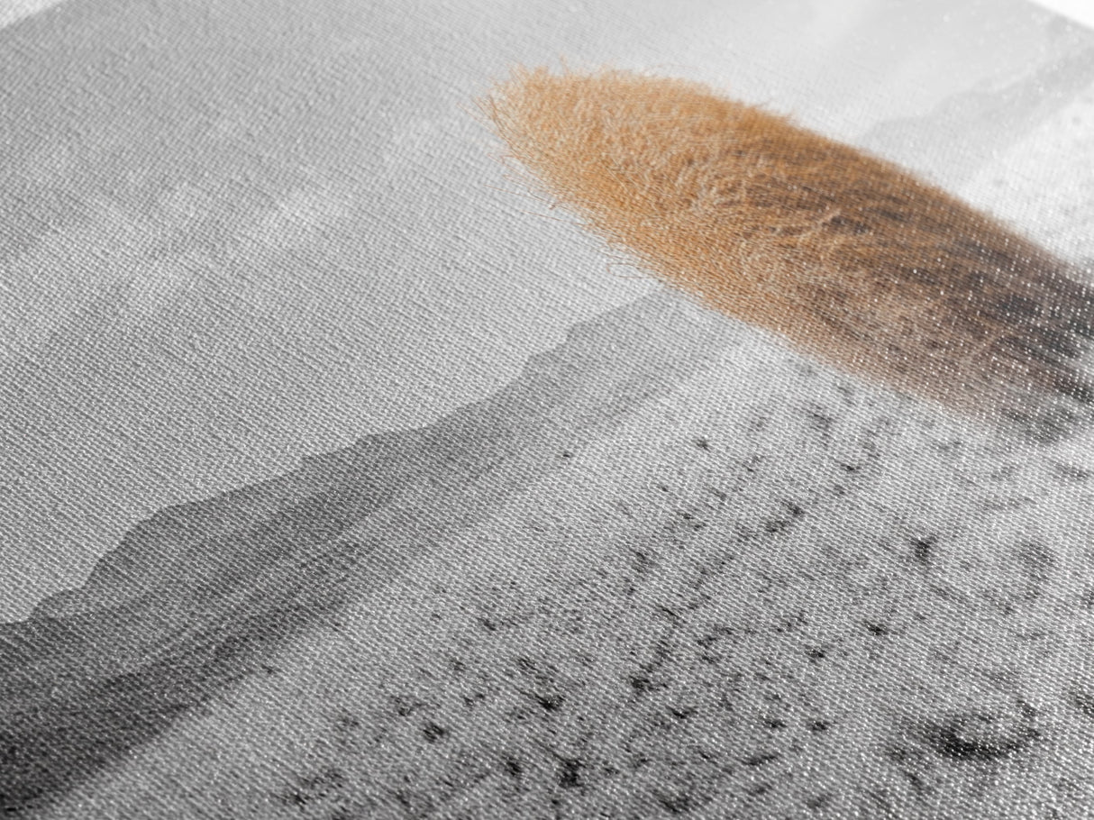 Tumbleweed, Desert Landscape, Southwest Wall Art, Minimalist Art, Extra Wide Art, Panoramic Art, Framed Canvas Print, Wabi Sabi Art