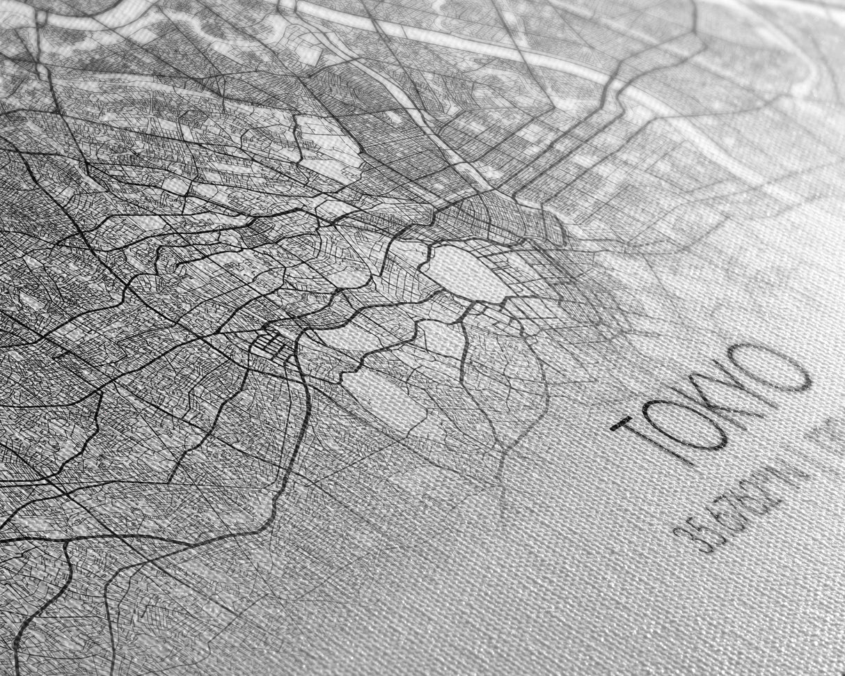 Tokyo City Map, Japan Art, Map Print, Modern Wall Art, Wall Art, Canvas Art, Asian Art Print, Gift For Coworker, Office Wall Art, Wall Décor