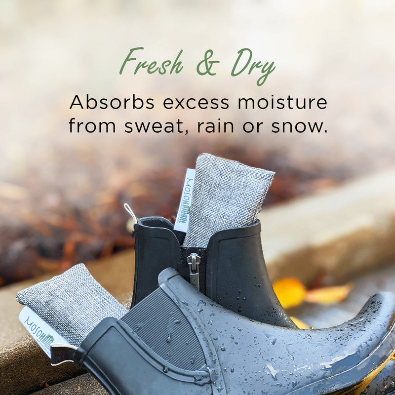 Moso Natural Mini Deodorizers for Bag & Shoes