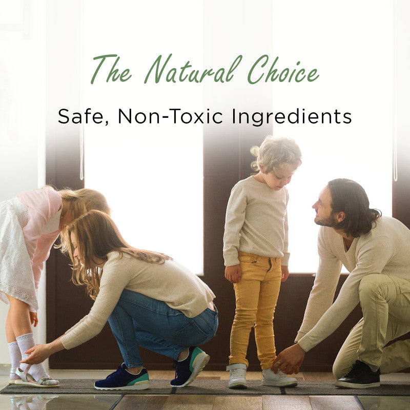 Moso Natural Mini Deodorizers for Bag & Shoes