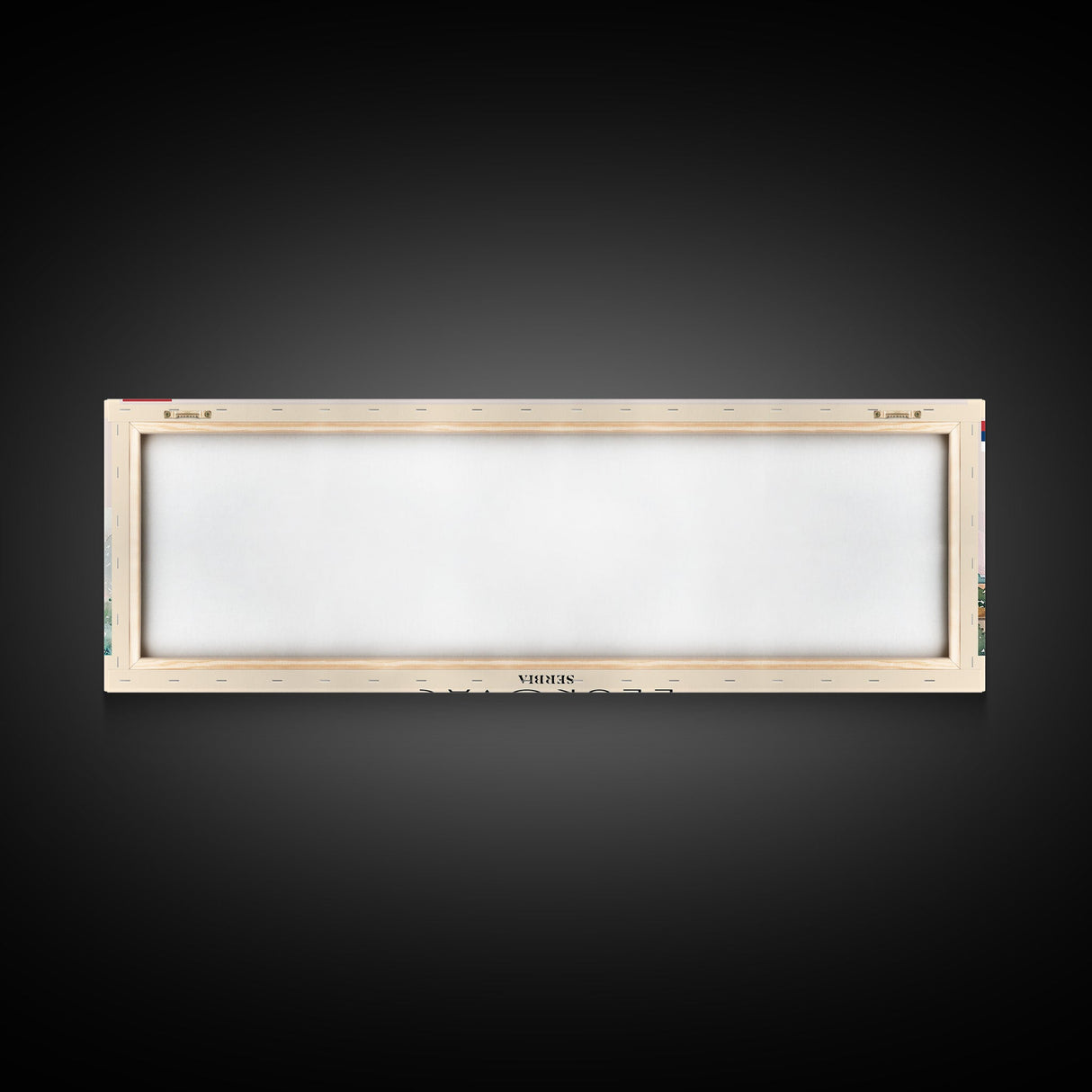 Leskovac Serbia Panoramic Travel Poster, Framed Canvas Print or Metal Wall Art, Travel Art, Home Decor, Panoramic Painting, Midcentury Art