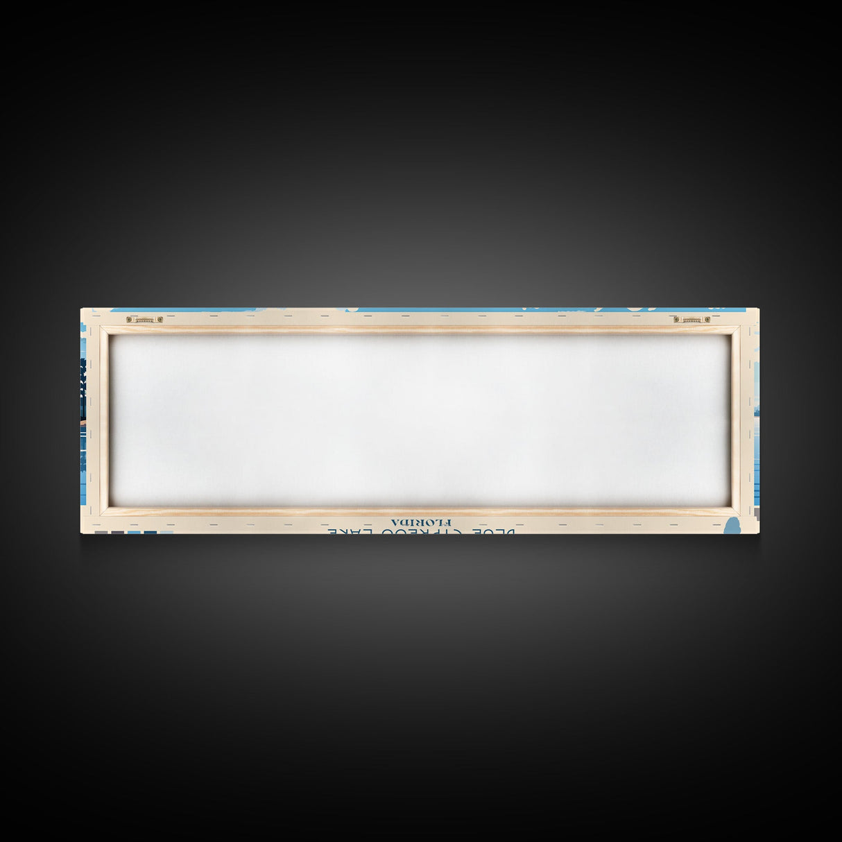 Blue Cypress Lake Florida Framed Canvas Print, Panoramic Wall Art, Midcentury Modern, Pop Art, Travel Poster, Scenic Living Room Art, Lake House Decor