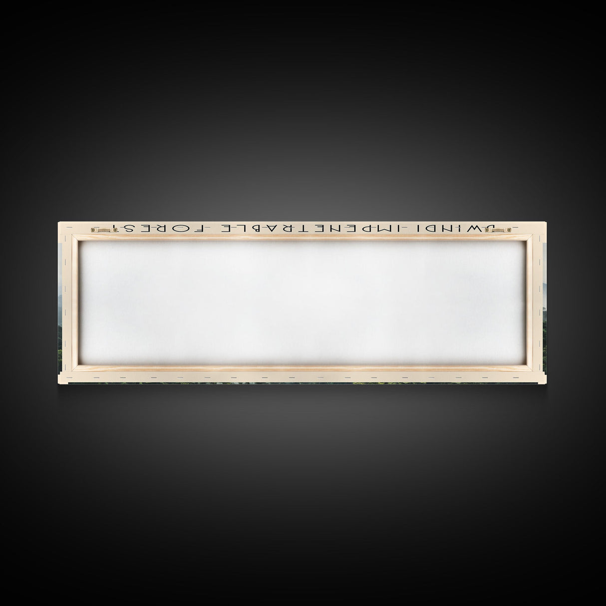 Bwindi Impenetrable Forest Wall Art Travel Poster Print, Gift For Travel Lover, Vacation Gift, COUNTRY Wall Art, Home Decor, Original Art