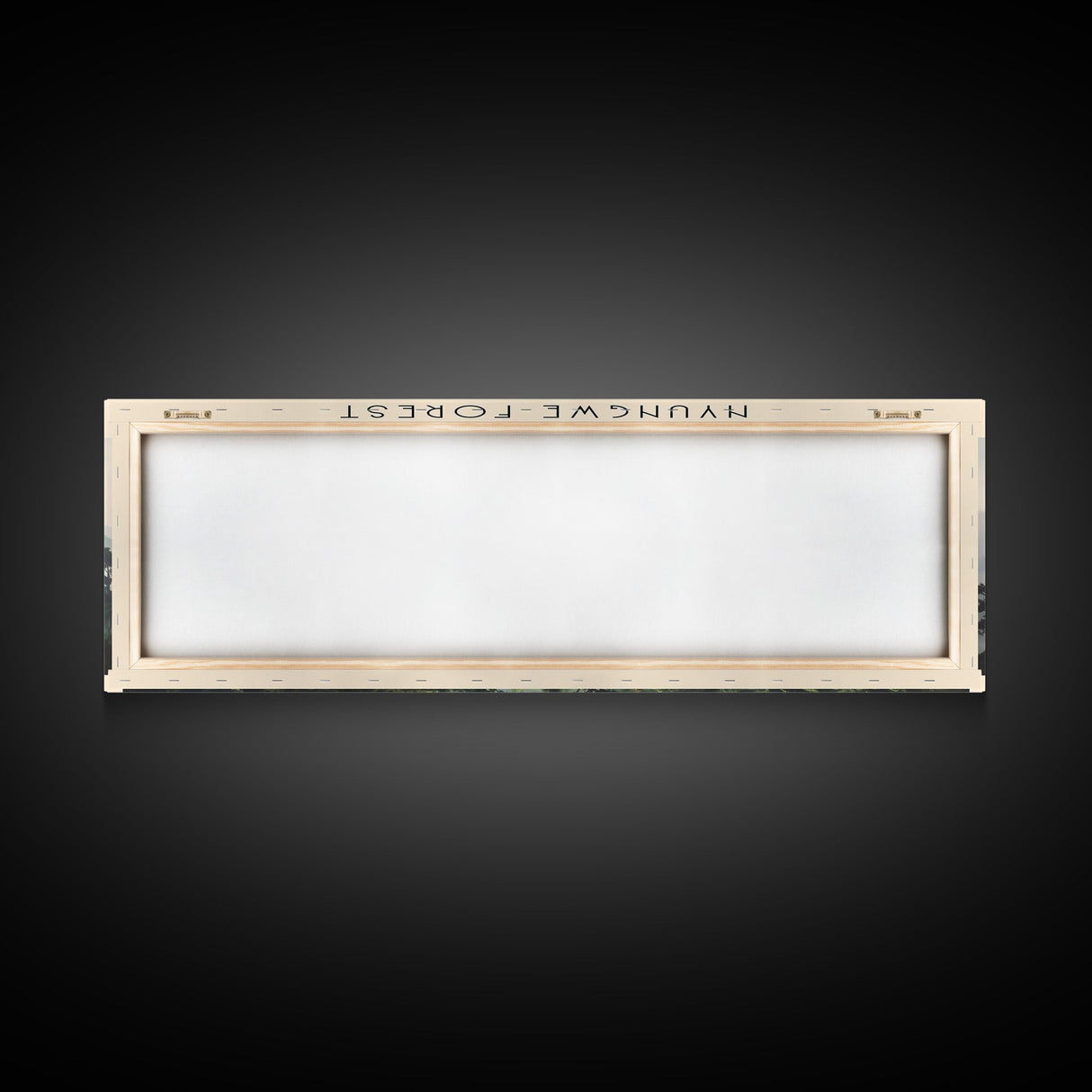 Nyungwe Forest COUNTRY Travel Poster Print, Framed Canvas Print, COUNTRY Travel Art, Wood Framed Art, Wall Hanging, Home Decor