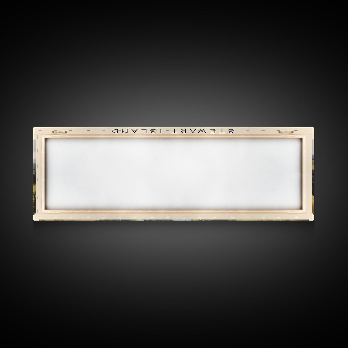 Stewart Island Travel Poster Print, Framed Canvas Print, COUNTRY Travel Art, Wood Framed Art, Wall Hanging, Home Decor