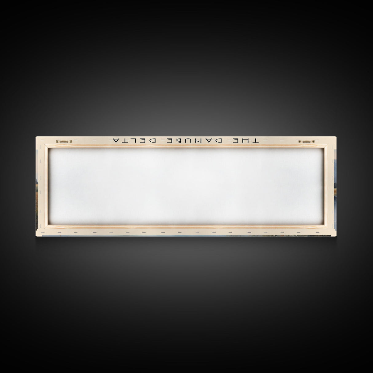 The Danube Delta Travel Poster Print, Framed Canvas Wall Art, Metal Wall Art, COUNTRY art, Gift For Him, Travel Wall Art, Travel Lover Gift