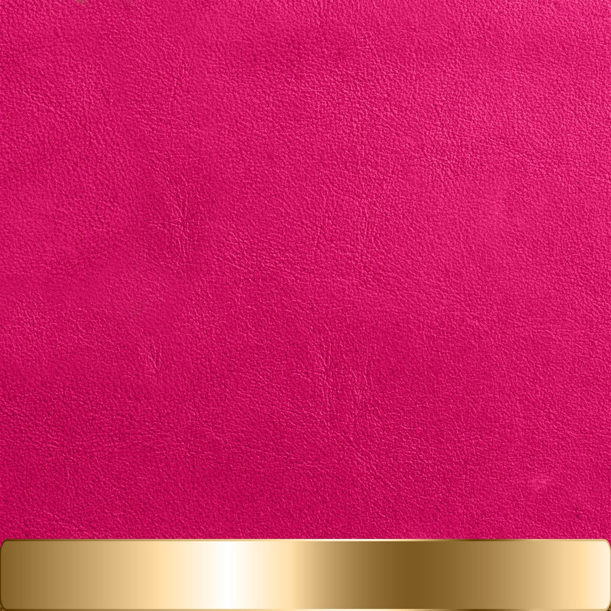 The Chapstick Holder