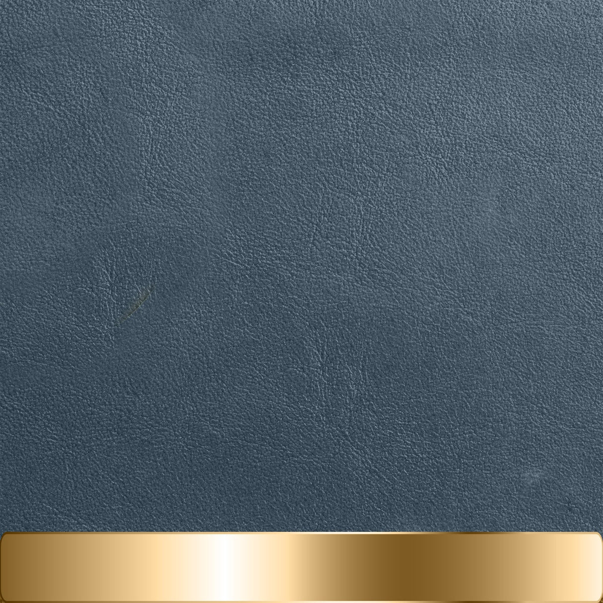 The Chapstick Holder