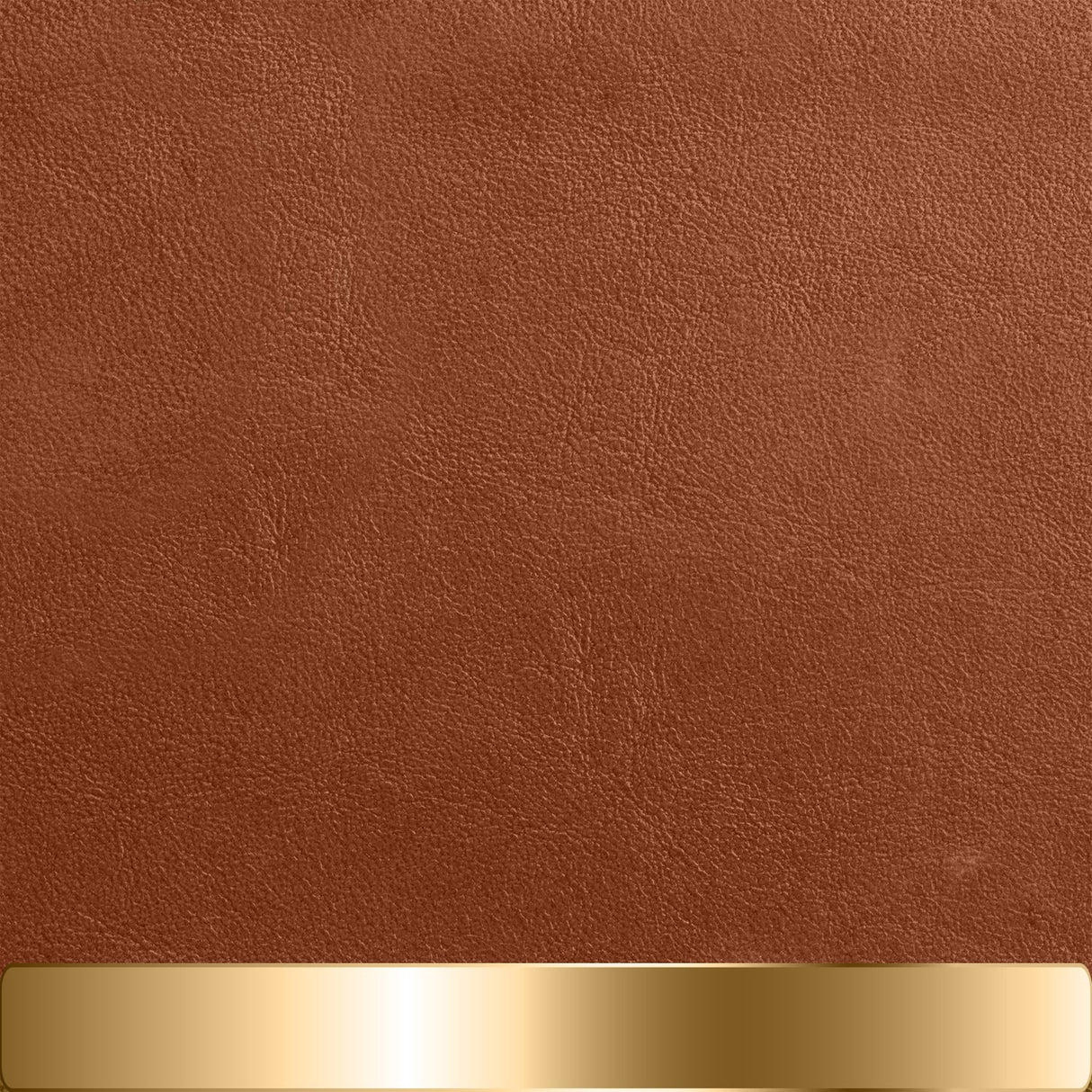 The Chapstick Holder