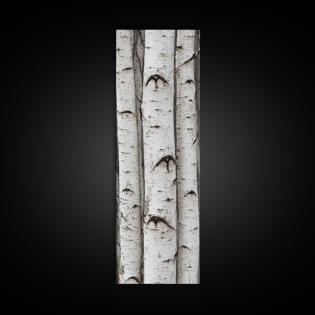 Classic Birch Trees Black and White Wall Art Framed Canvas Print Rustic Farmhouse Art Tall Narrow Art Guest Room Decor
