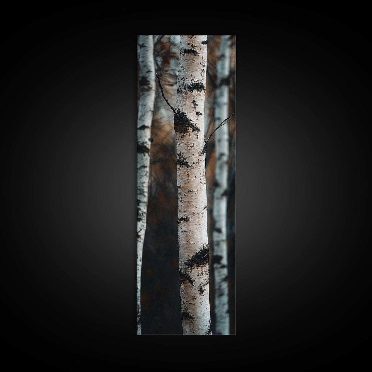 Birch Tree Forest Framed Canvas Print Rustic Wabi Sabi Woodland Art Minimalist Bedroom or Living Room Fall Wall Art Decor