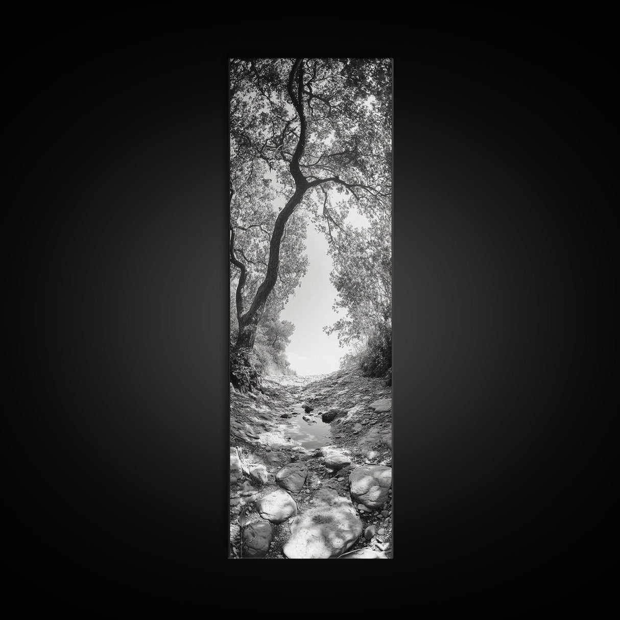 Forest Path, Rock Creek, Canopy Light, Calm Nature Scene, Canvas Print, Entryway Wall Art, Tranquil Minimalist Landscape Print