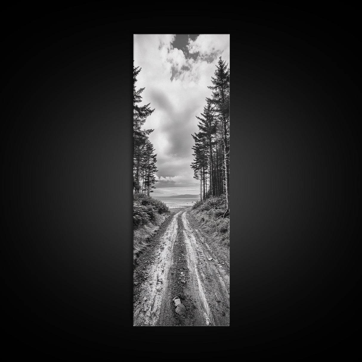 Coastal Forest Path, Nature Trail, Ocean View, Black and White, Framed Canvas Print, Entryway Wall Art, Rustic Decor, Landscape Photography
