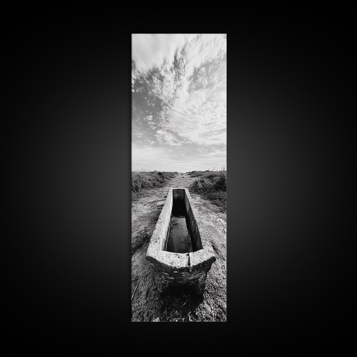 Rustic Trough Scene, Country Minimalist Art, Weathered Landscape Print, Nature Photography, Farmhouse Kitchen Decor, Framed Canvas Print