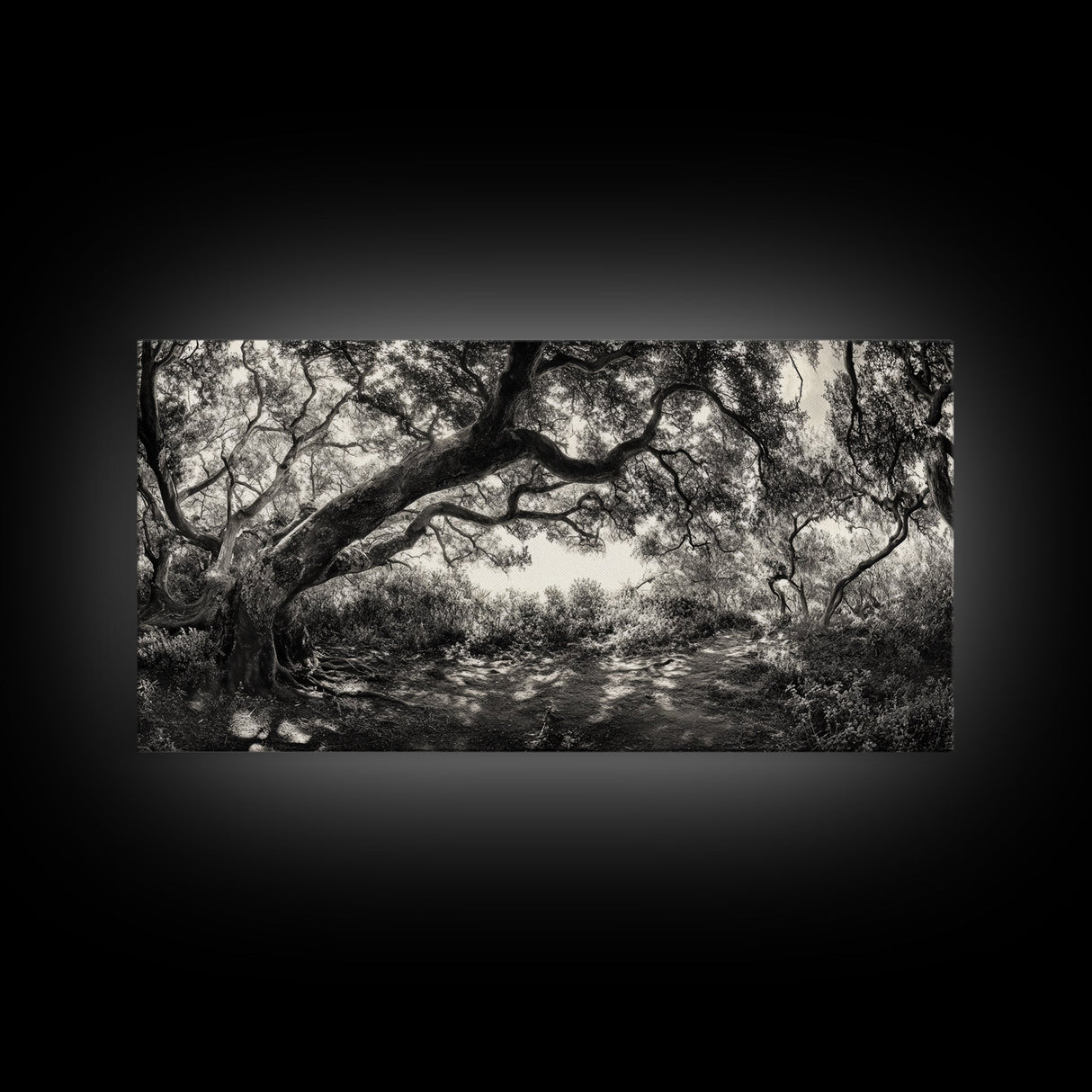 Twisted Forest Canopy, Ancient Trees, Mystical Woodland, Canvas Print, Boho Living Room Art, Black and White Nature Print, Cabin Decor