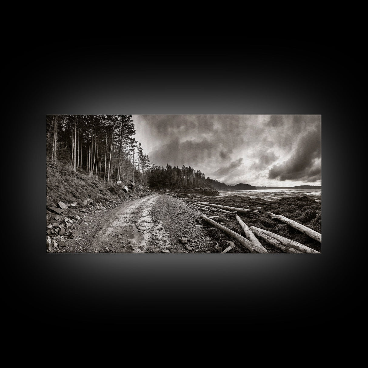 Forest Ocean Trail, Stormy Beach Scene, Driftwood Pathway, Framed Canvas Print, Cabin Entryway or Nature-Inspired Living Room Art