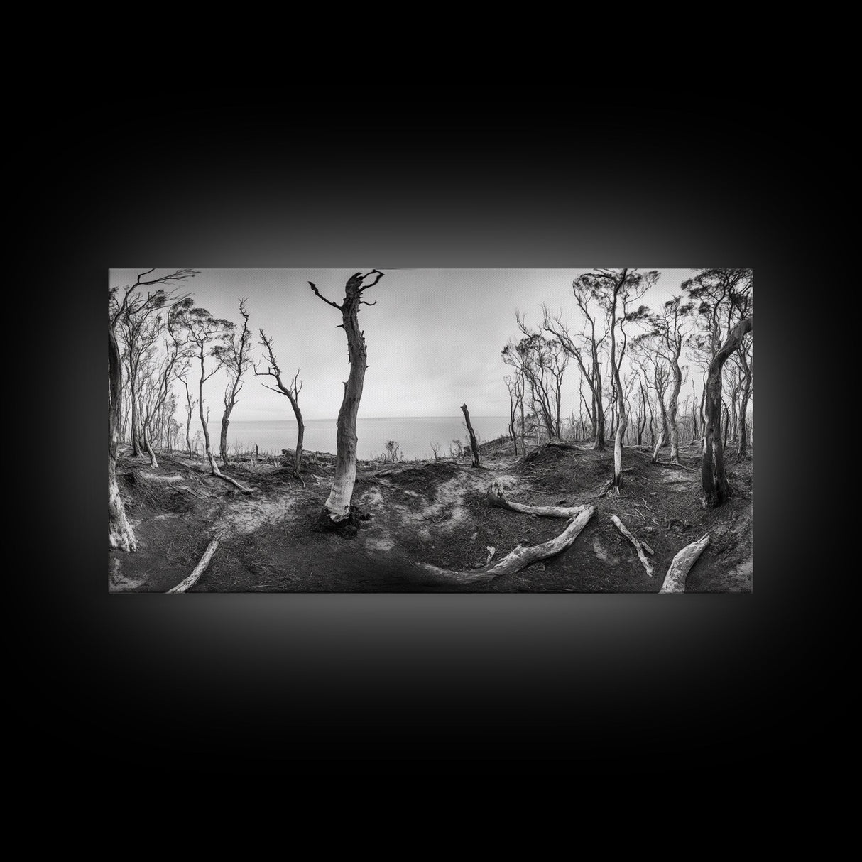 Burnt Forest, Moody Trees, Coastal Landscape, Nature Scene, Framed Canvas Print, Rustic Wall Art, Boho Decor, Fall Home Aesthetic