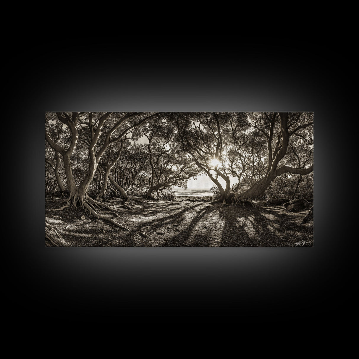 Enchanted Forest Light, Tree Shadows, Nature Landscape, Framed Canvas Print, Rustic Wall Art, Entryway Woodland Decor, Boho Forest Print