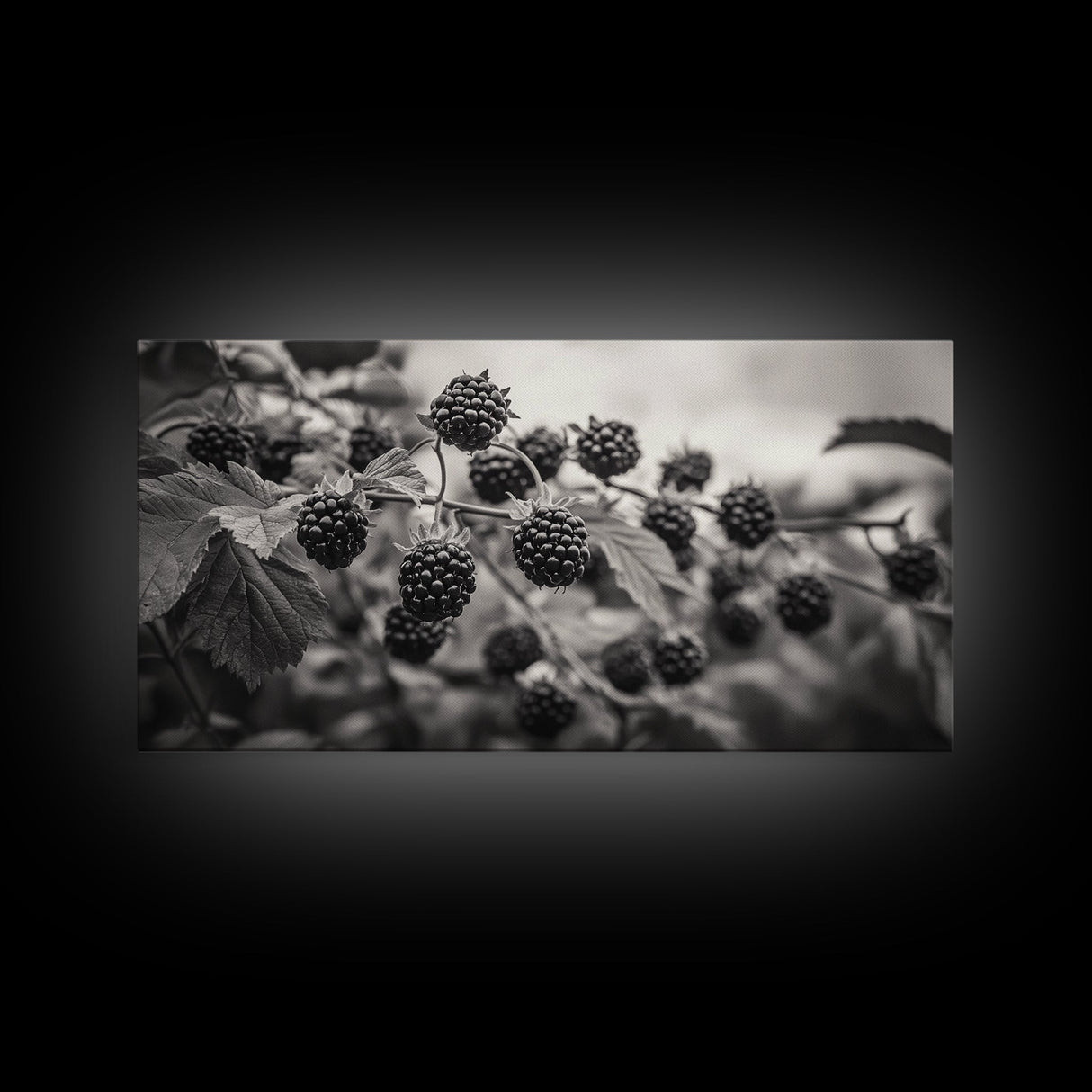 Blackberries on Vine, Farmhouse Kitchen Art, Rustic Fruit Wall Decor, Country Style, Autumn Botanical Photography, Canvas Print