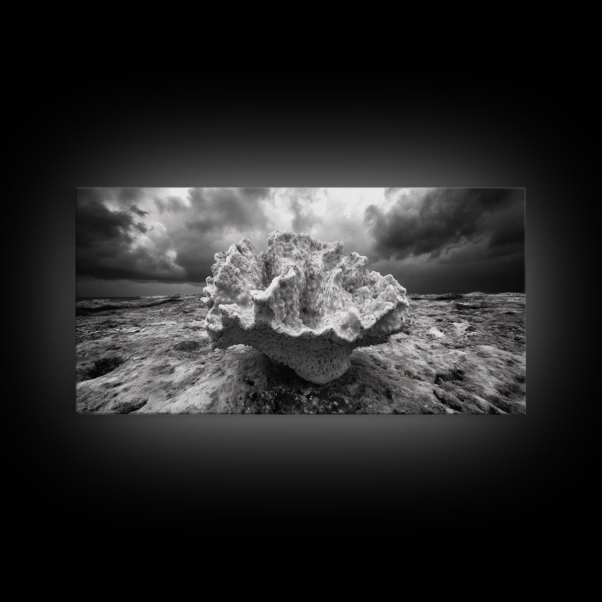 Coral Texture, Ocean Storm, Dramatic Sky, Sea Fossil, Framed Canvas Print, Coastal Nature Art, Fall Entryway Wall Decor, Cabin Wall Art