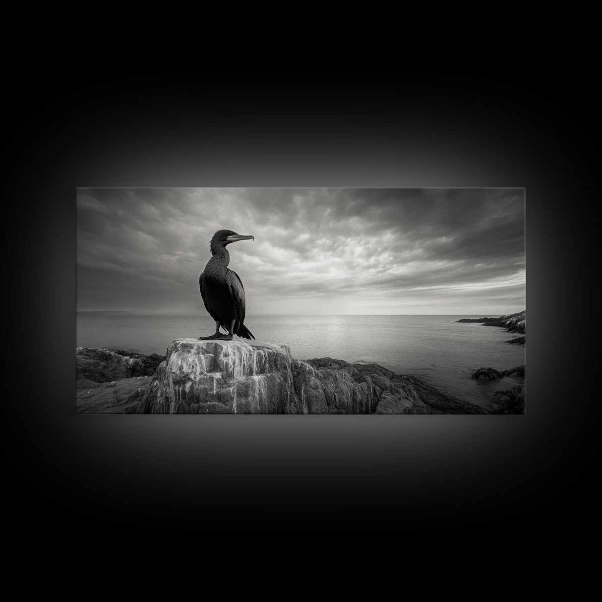 Sea Bird, Rocky Shore, Stormy Horizon, Coastal Watcher, Canvas Print, Nature Photography Art, Bedroom Decor, Ocean Wildlife