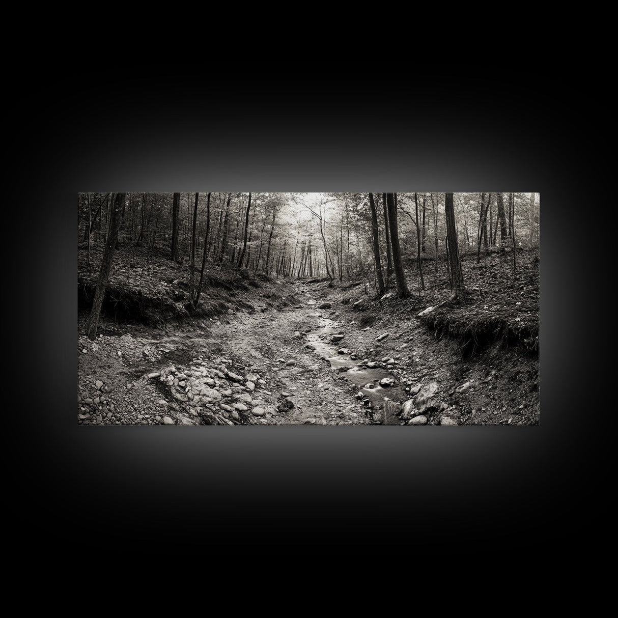 Forest Stream, Tranquil Woodland Path, Autumn Nature Photography, Framed Canvas Print, Rustic Cabin Decor, Living Room Wall Art