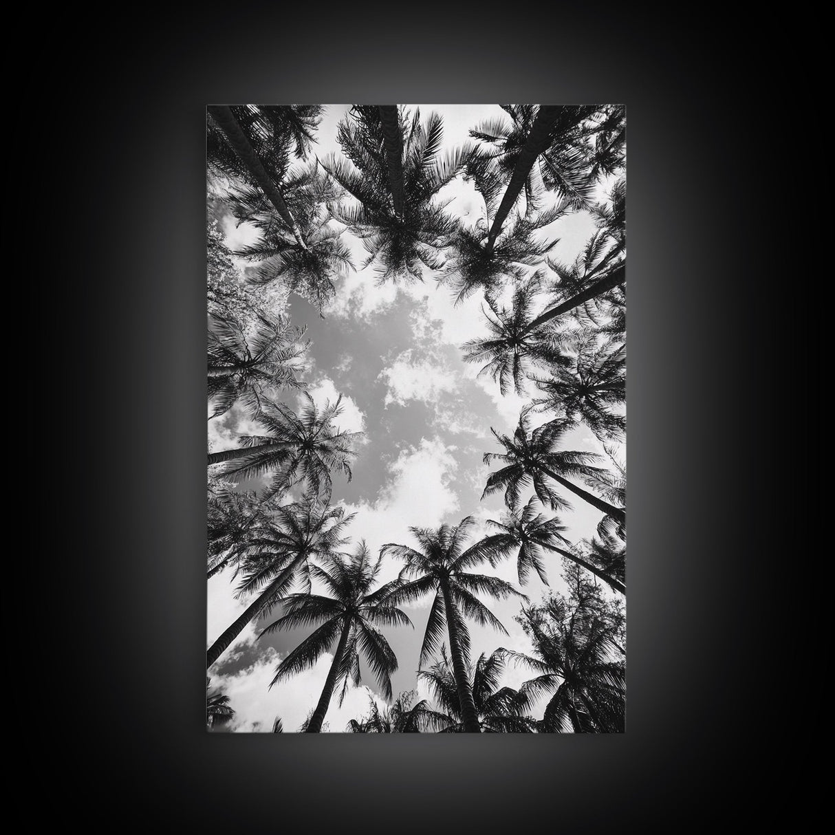Palm Tree Sky, Tropical Canopy, Black and White Island View, Jungle Overhead Scene, Framed Canvas Print, Bathroom Wall Art, Beach Boho Decor