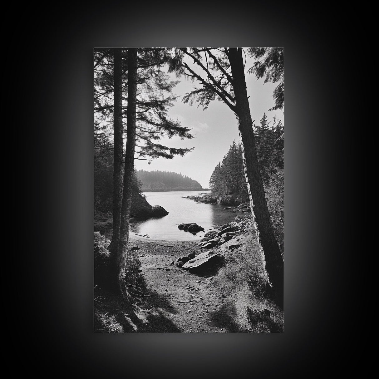 Woodland Cove Path, Tranquil Forest Scene, Nature Escape Art, Canvas Print, Cabin Wall Art, Coastal Boho Decor, Black White Landscape