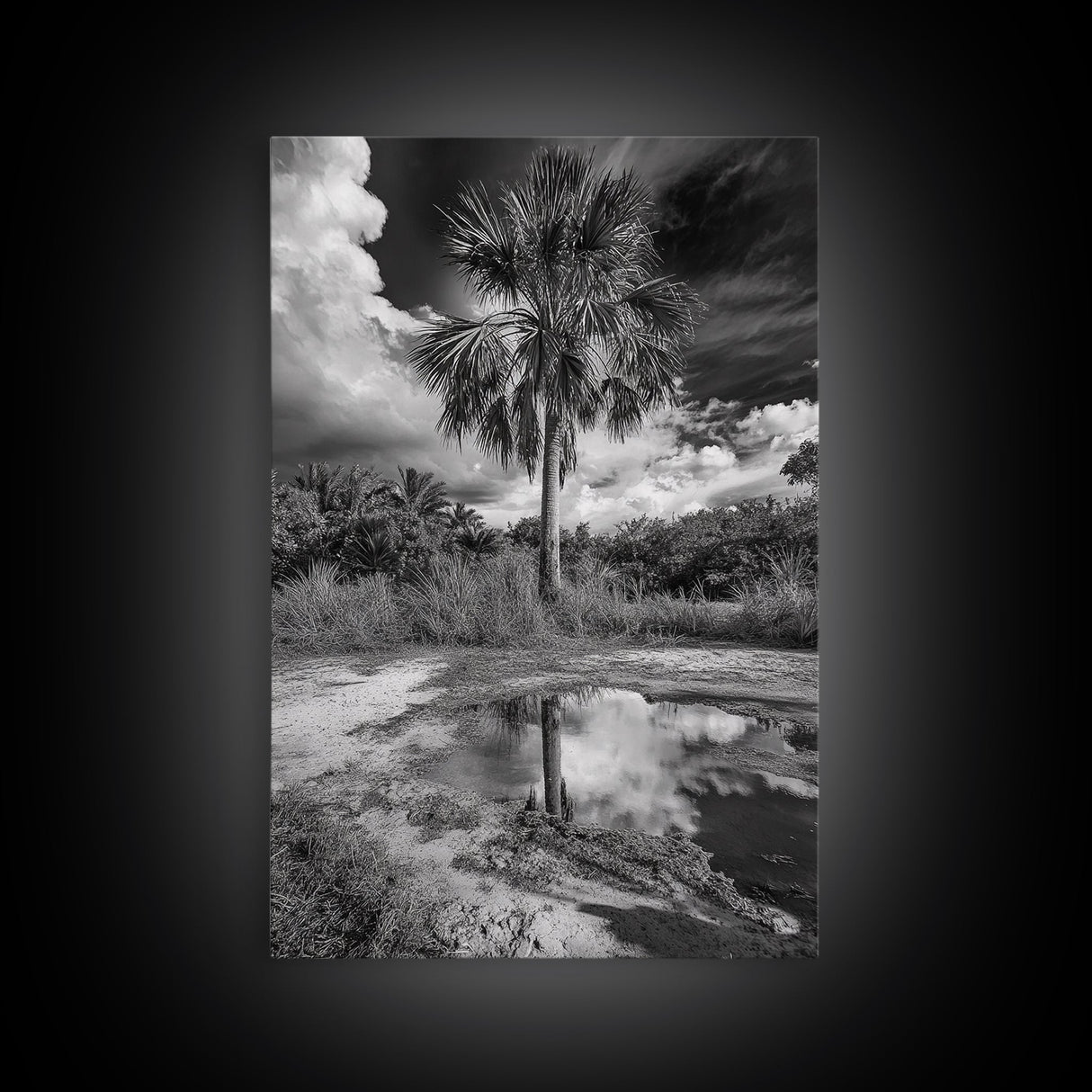 Tropical Palm, Reflected Sky, Nature Tranquility, Canvas Print, boho wall decor, bathroom art, tropical reflection photography