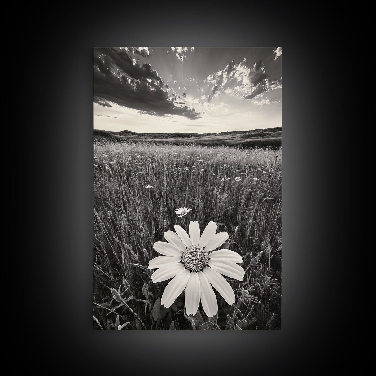 Wildflower Field, Daisy Bloom, Summer Meadow, Framed Canvas Print, Boho Botanical Wall Art, Bedroom Decor, Earthy Nature Photography