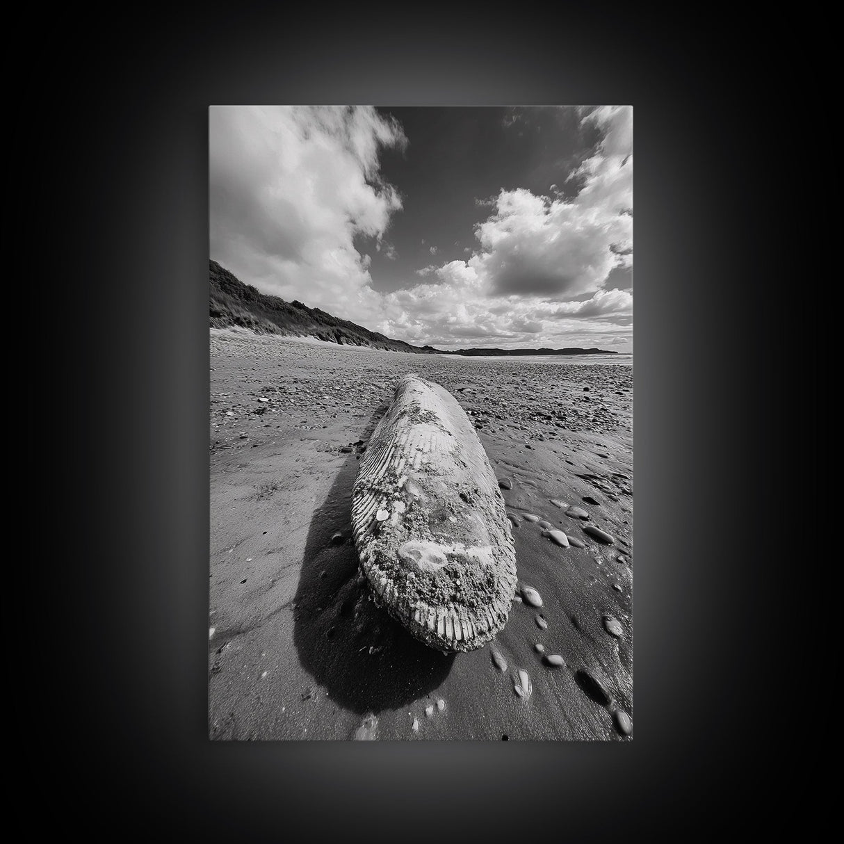 Whale Bone, Coastal Find, Ocean Relic, Framed Canvas Print, Seaside Wall Art, Beach House Decor, Nautical Minimalist Photography
