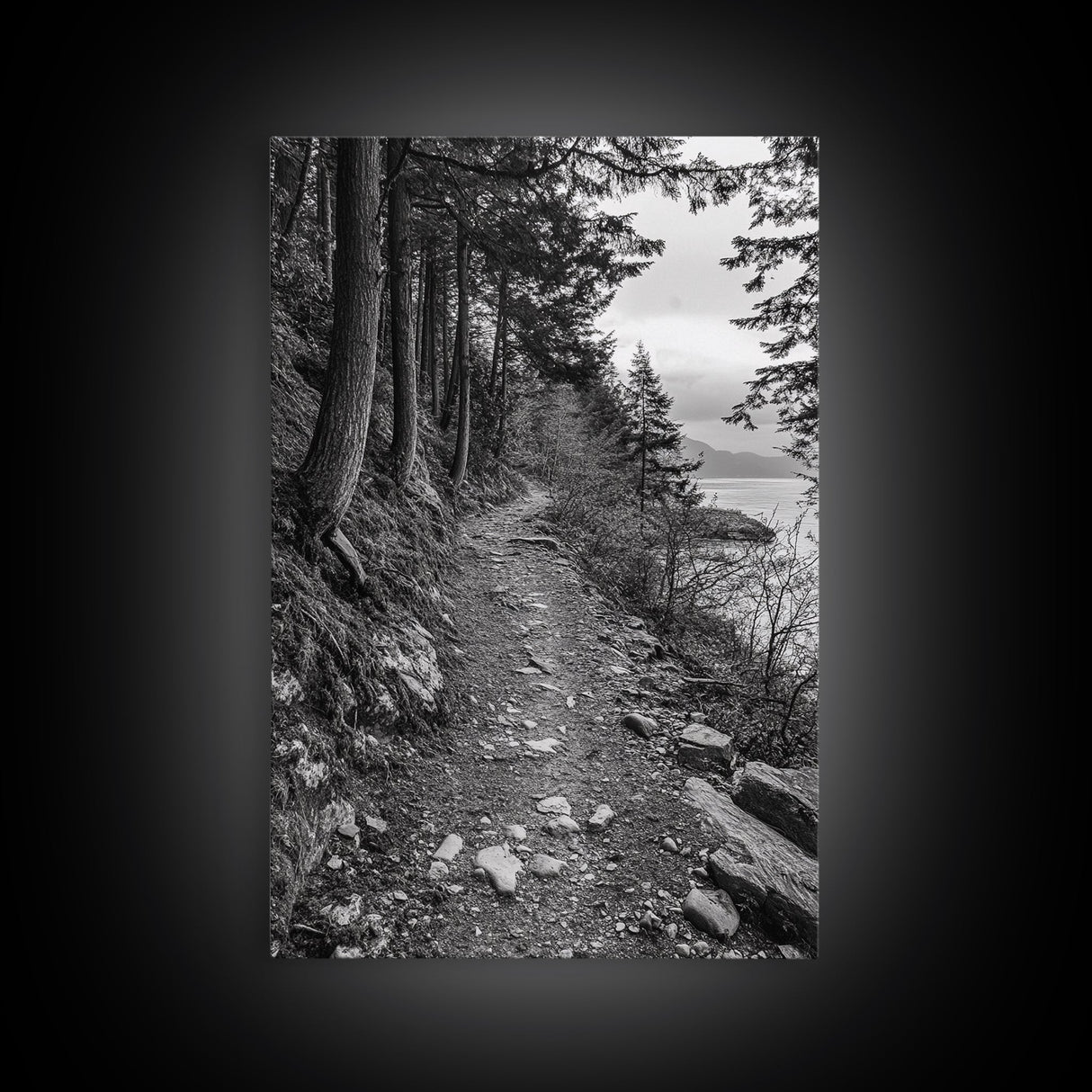 Forest Pathway Trail, Wilderness Escape, Rustic Nature, Black and White Framed Canvas Print, Cozy Cabin or Entryway Wall Art