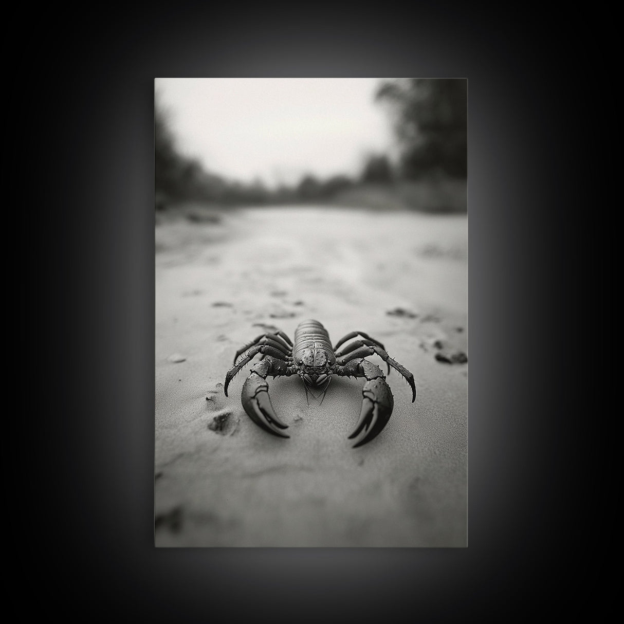 Desert Scorpion, Moody Wildlife, Sandy Ground, Focused Predator, Framed Canvas Print, edgy boho decor, masculine wall art, nature closeup