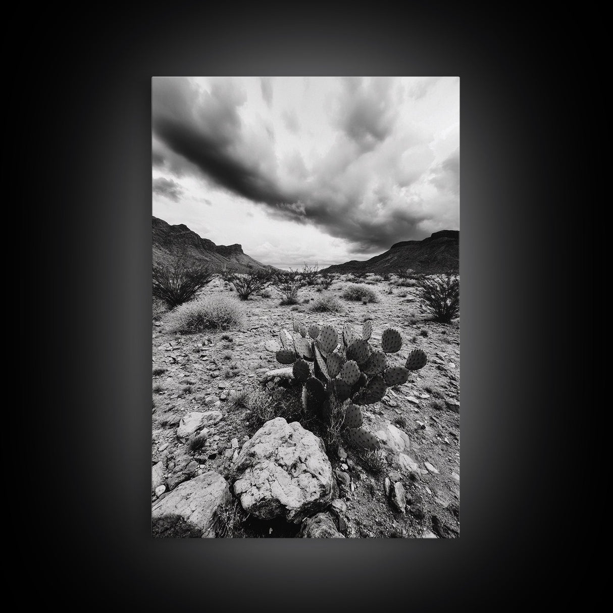 Desert Storm, Cactus Scene, Black White Art, Canvas Print, Southwest Wall Art, Earthy Tones Decor, Boho Style, Entryway Wall Accent