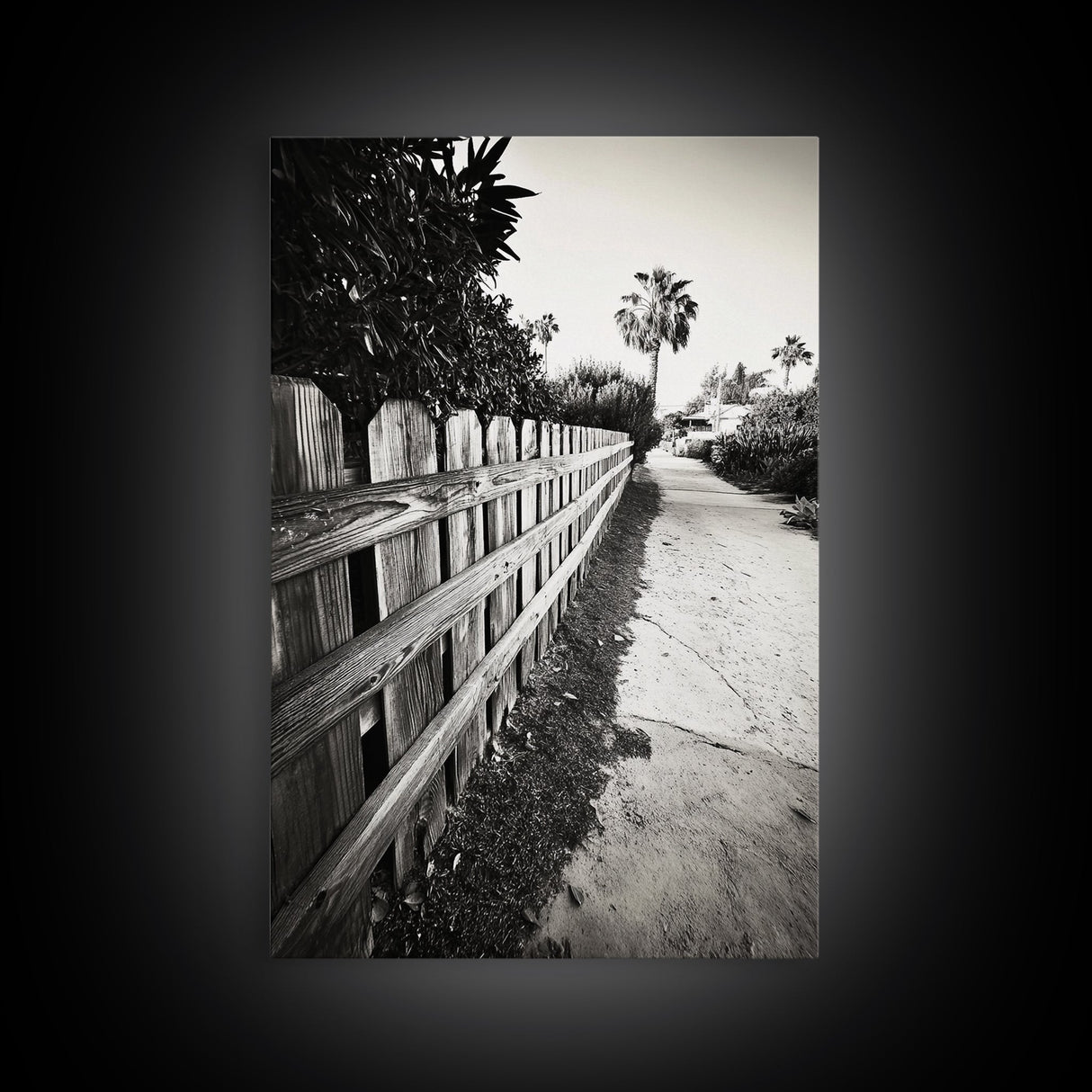 Palm Fence, California Pathway, Suburban Tranquility, Canvas Print, Outdoor Wall Art, Neutral Tones, Modern Minimalist Home Vibe