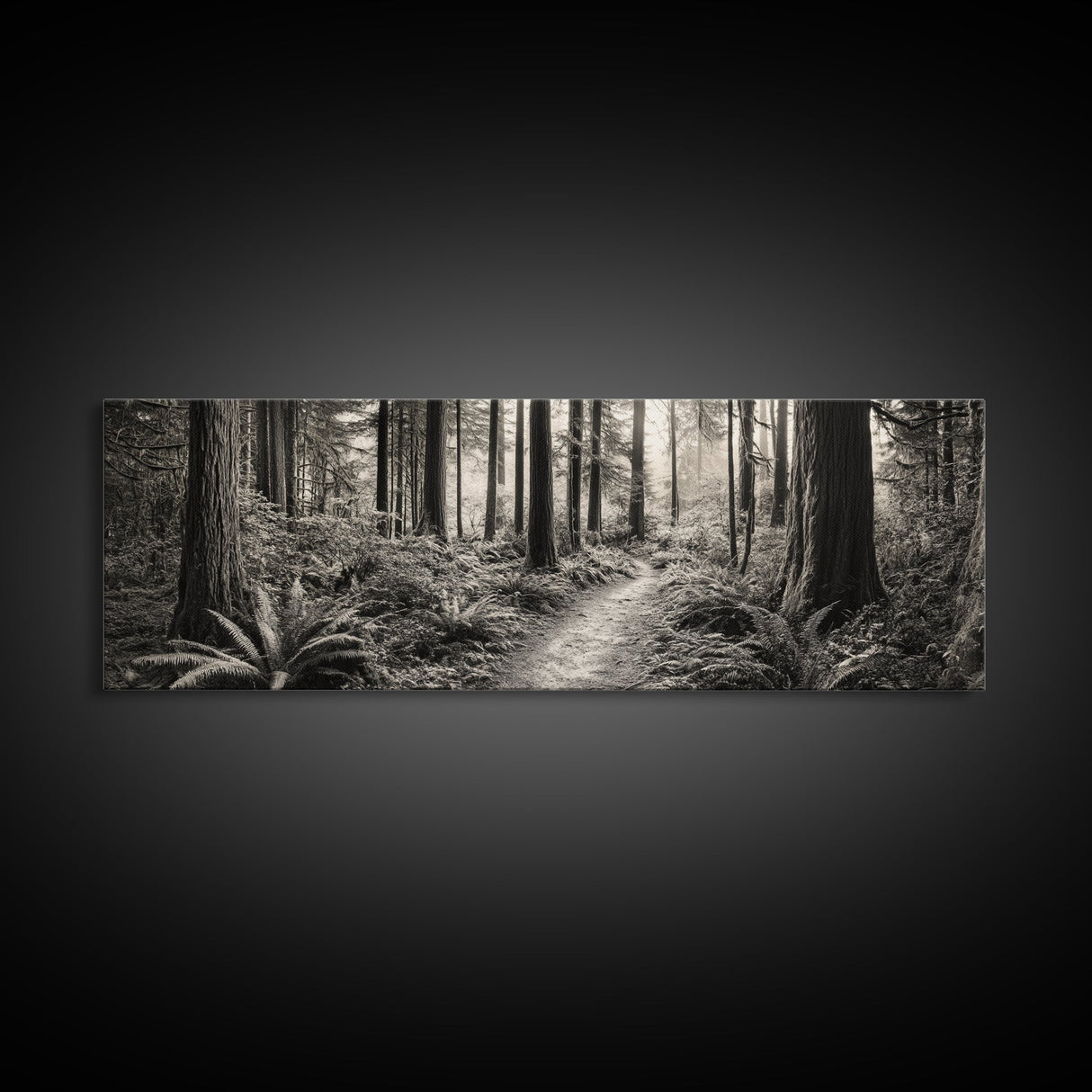 Redwood Forest, Nature Path, Fern Understory, Framed Canvas Print, Moody Nature Photography, Office Wall Art, Forest Bathing Vibes