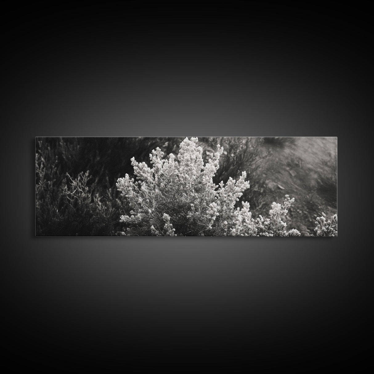 Frosted Bush, Winter Plant, Nature Closeup, Framed Canvas Print, Botanical Wall Art, Neutral Bedroom Decor, Rustic Autumn Style