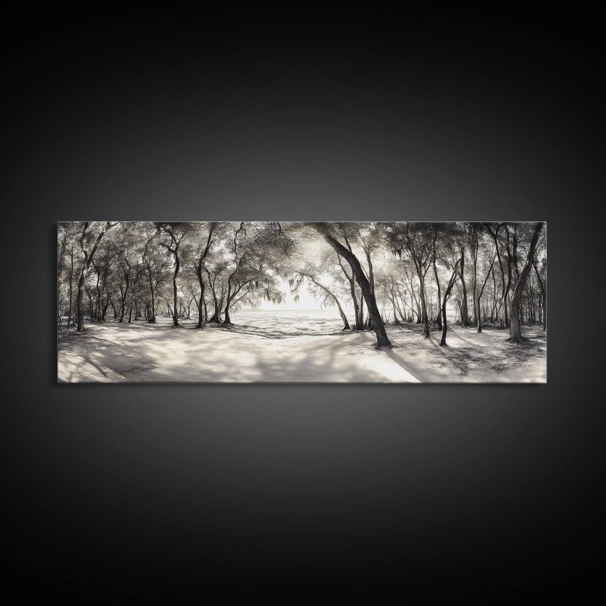 Dreamy Beach Forest, Sepia Trees, Canvas Print, Nature Wall Decor, Fall Bedroom Art, Rustic Woodland Landscape, Tree Shadow Light