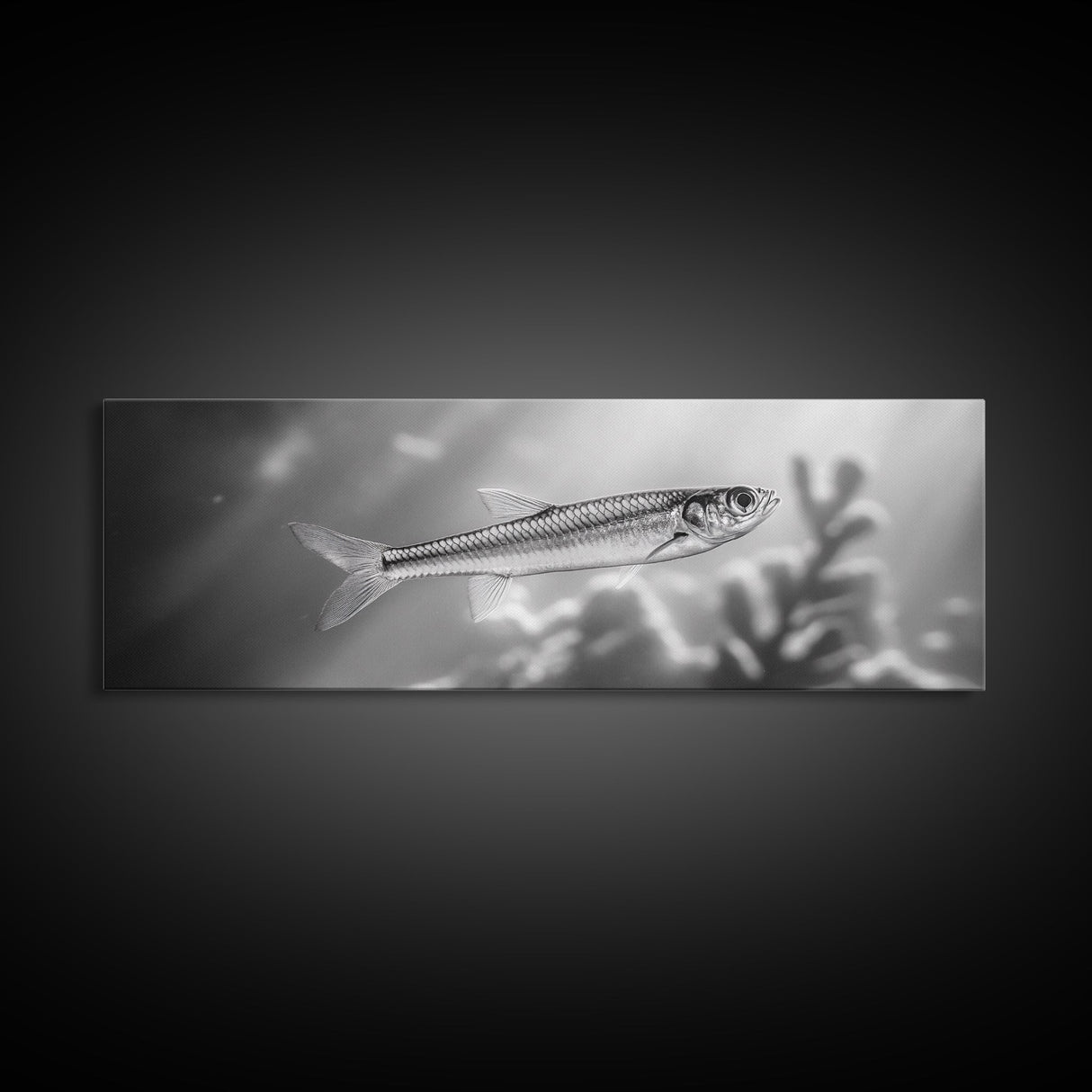 Silver Fish Closeup, Underwater Life, Marine Wildlife Art, Black and White Framed Canvas Print, Coastal Bathroom or Den Wall Art