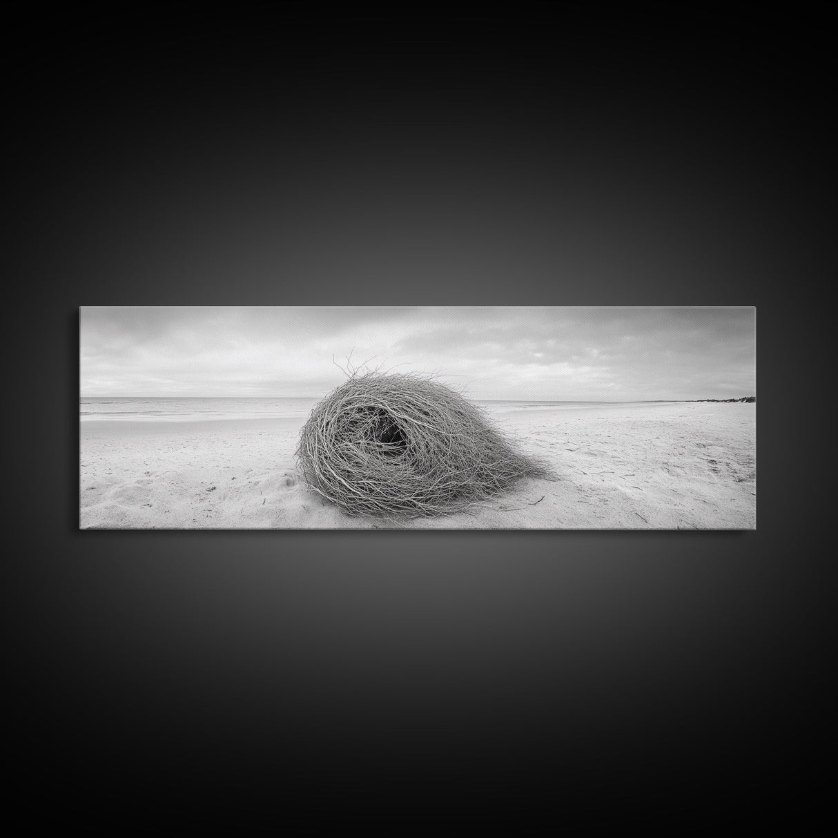 Tumbleweed Nest, Desert Beach, Natural Sculpture, Coastal Simplicity, Canvas Print, Modern Boho Wall Art, Neutral Home Aesthetic