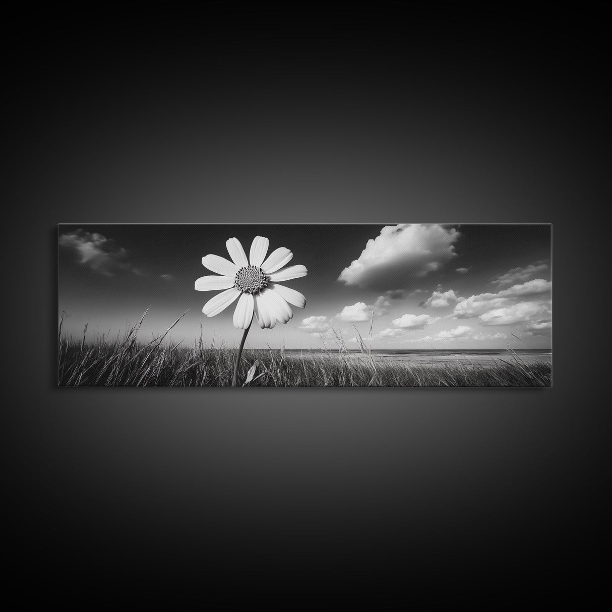 Daisy Flower, Single Bloom, Coastal Breeze, Minimal Wall Decor, Framed Canvas Print, Boho Bedroom Art, Nature Inspired Photography