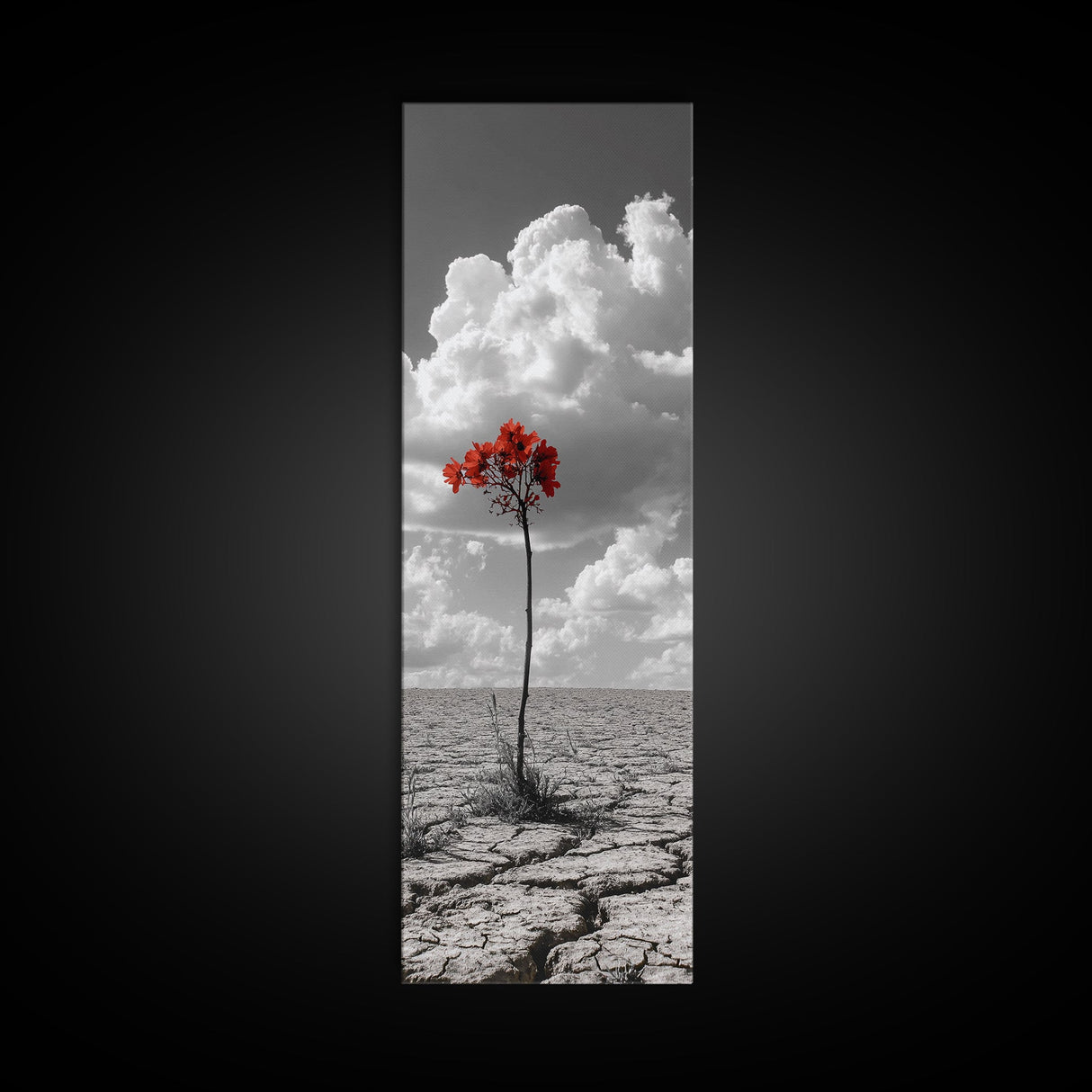 Red Bloom, Desert Flower, Solitary Beauty, Bold Nature, Framed Canvas Print, Dramatic Wall Art, Modern Bedroom Decor, Minimalist Botanical Art