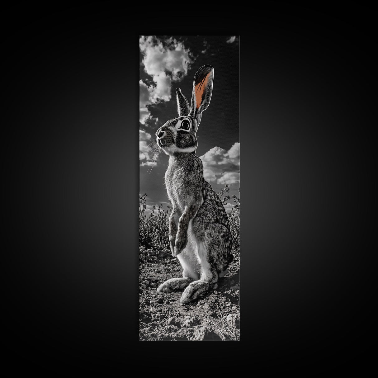 Wild Rabbit, Sunset Ears, Desert Animal, Wildlife Close-Up, Framed Canvas Print, Boho Animal Decor, Living Room Accent, Nature Wall Art