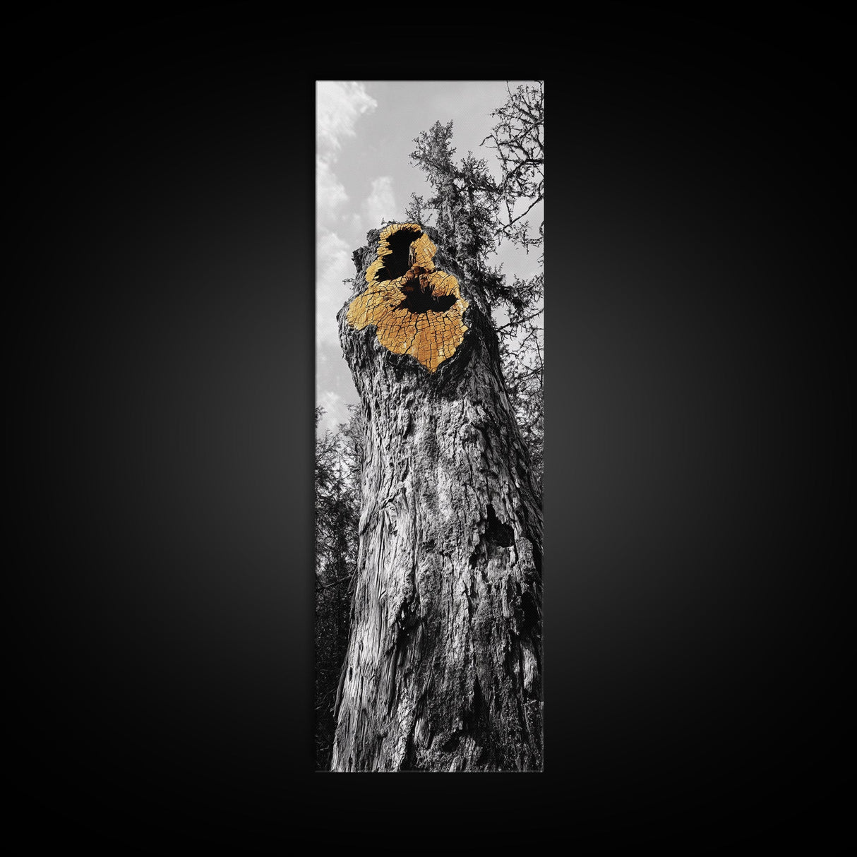 Tree Hollow, Forest Texture, Nature Decay, Golden Bark, Framed Canvas Print, Rustic Wall Art, Cabin Living Room Art, Woodland Decor